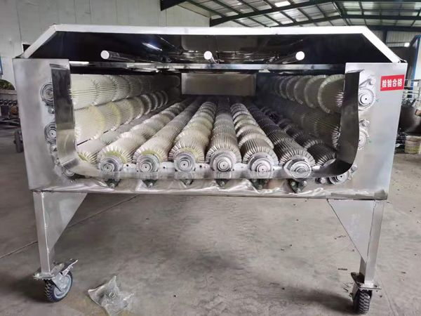 大型果蔬清洗机