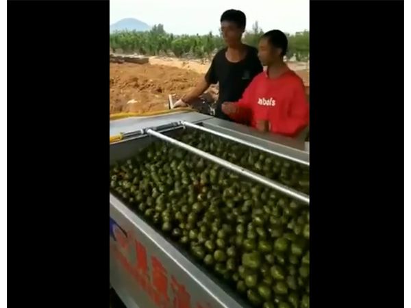 核桃去皮米兰体育（中国）网站首页一体机视频