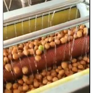 核桃去皮米兰体育（中国）网站首页一体机视频