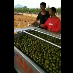 核桃去皮米兰体育（中国）网站首页一体机视频